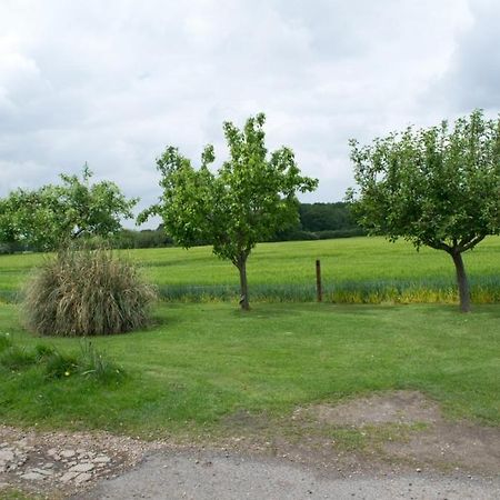 Woodview B Colchester Birch Kültér fotó