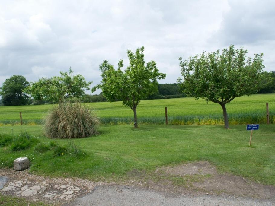 Woodview B Colchester Birch Kültér fotó